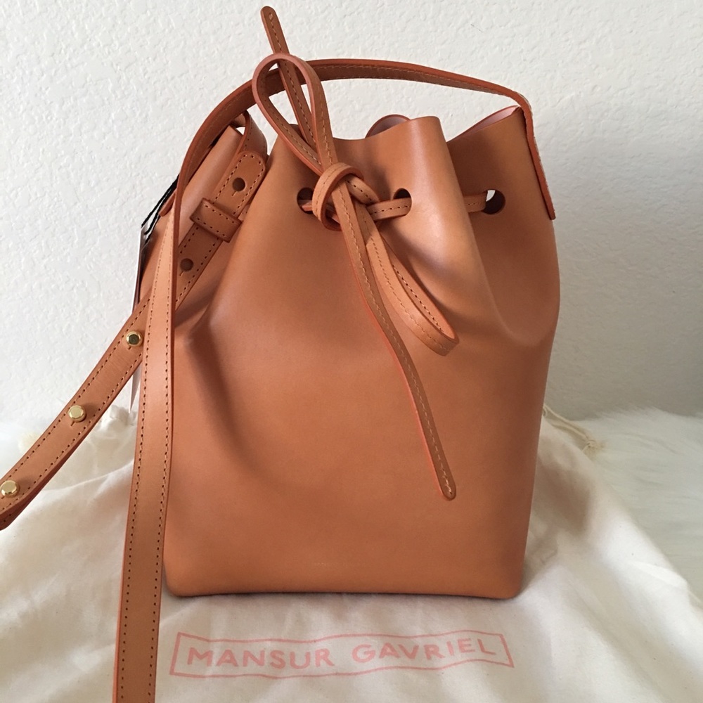 NWT Mansur Gavriel Mini Bucket Bag Camello Rosa